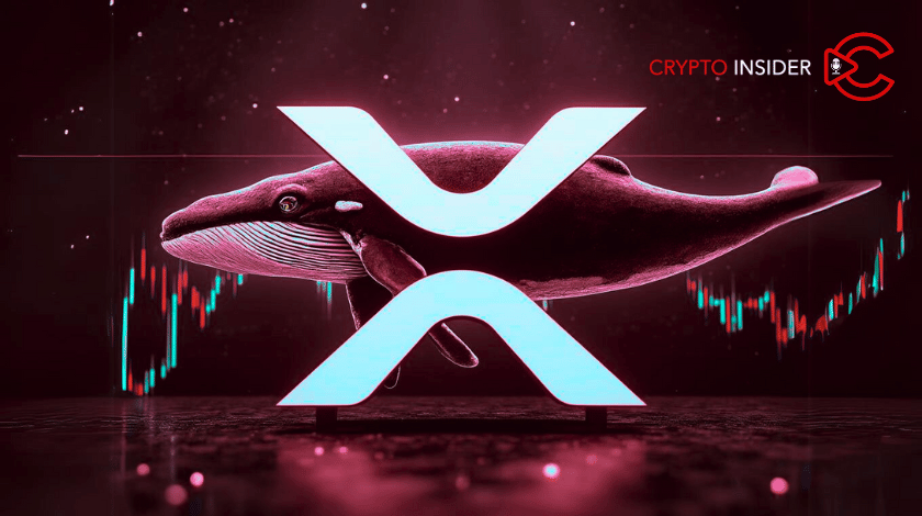 Ripple Whales Snatch 50M XRP: Will the Market Skyrocket?